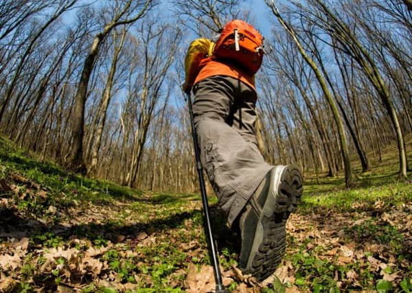 Tree planting is one way of changing land use, says Victor Clements