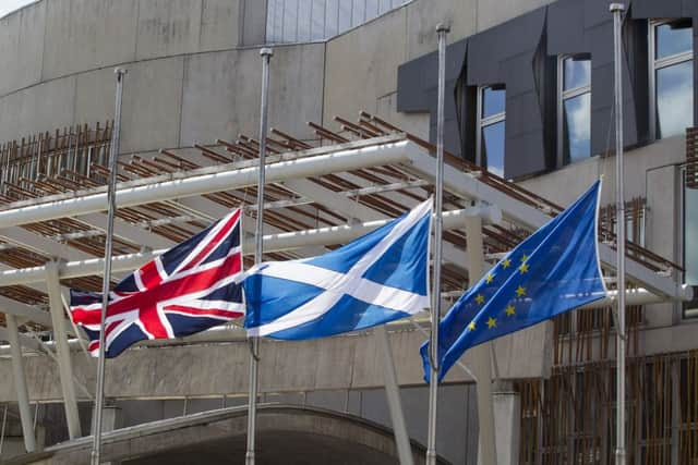 Research has shown that SNP supporters who voted for Brexit are turning away from the party. Pic: SWNS/Katielee Arrowsmith