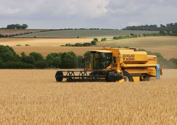 The SRUC warned over the risks of fungicide-resistant strains of ramularia. Picture: Scott Barbour/Getty Images