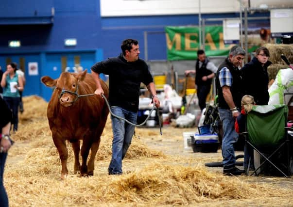 'By investing now, farmers can make their businesses more resilient,' says Bank of Scotland's Sandy Hay. Picture: Lisa Ferguson