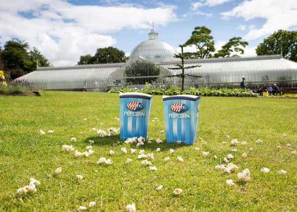 Picture: Glasgow Botanic Gardens, courtesy of Robert Perry