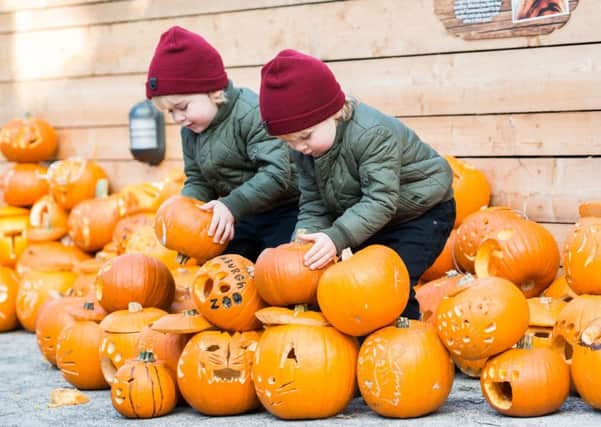 Pumpkins are one of the main symbols of autumn, having taken over from turnips as Halloween lanterns.