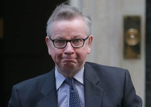 Britain's Environment, Food and Rural Affairs Secretary Michael Gove  / AFP PHOTO / Daniel LEAL-OLIVASDANIEL LEAL-OLIVAS/AFP/Getty Images