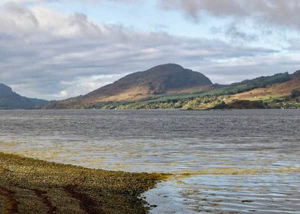 Around 250,000,000 flame shells were found during survey works at Loch Carron in the Highlands. Picture: Julian Paren