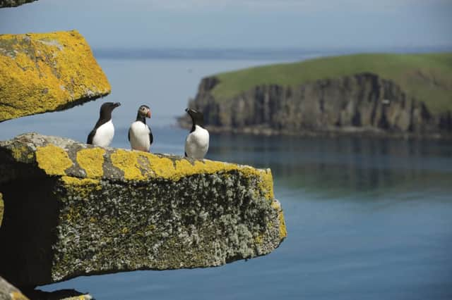 The Shiant Isles (Scottish Gaelic: Na h-Eileanan MÃœra), also known in Gaelic as "The Enchanted Isles", are a privately owned island group in the Minch, east of Harris in the Outer Hebrides of Scotland