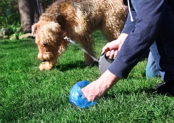 Leader comment: Dog poo's double jeopardy