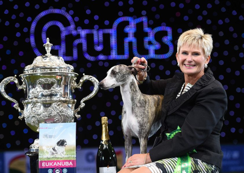 Crufts deals 2018 winner