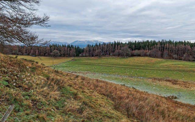 The popular Highlands walking area were a banned pesticide has been found