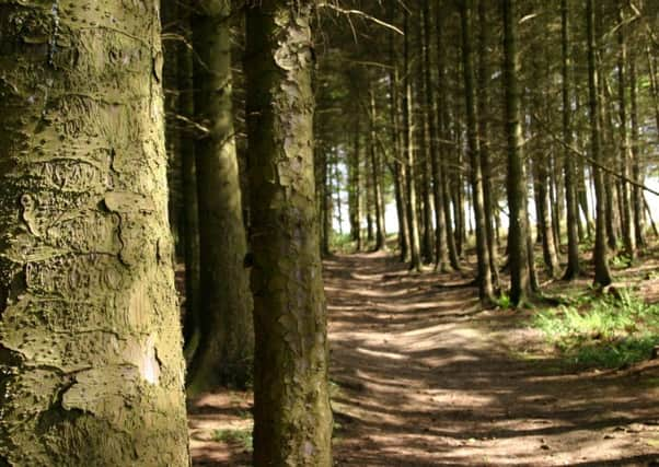 A teenage girl was sexually assaulted in woods in Renfrewshire on Saturday