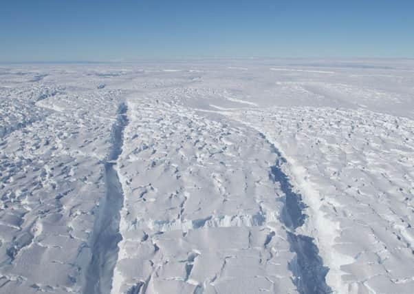 Elephant seals will aid research into the Thwaites Glacier. Picture: Contributed