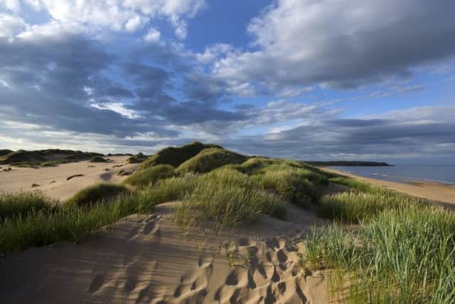 Picture: Forvie Sands, TSPL