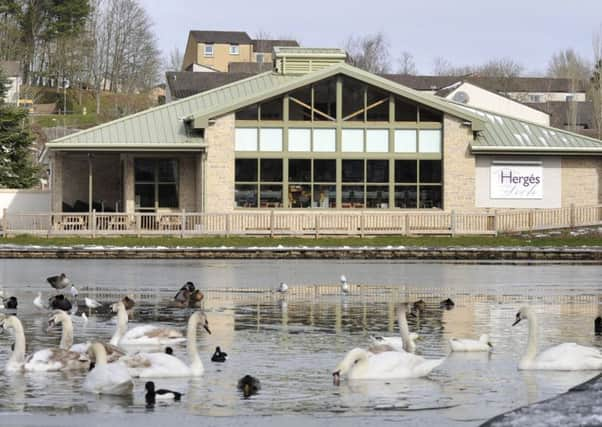 Herges on the Loch at Tweedbank.