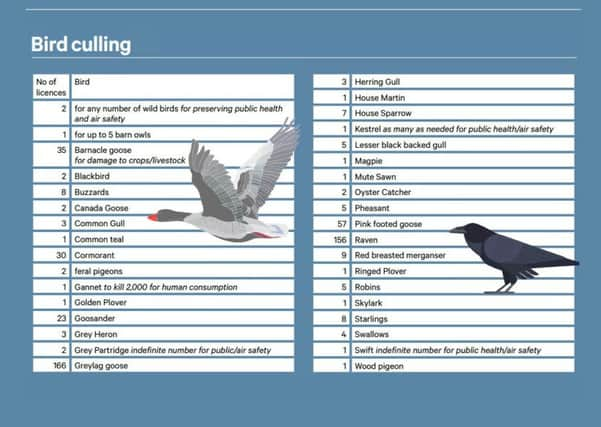 Infographic: TSPL