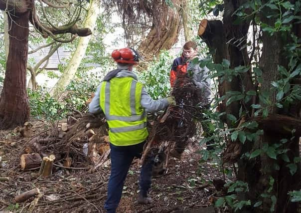 Students on the rural skills course