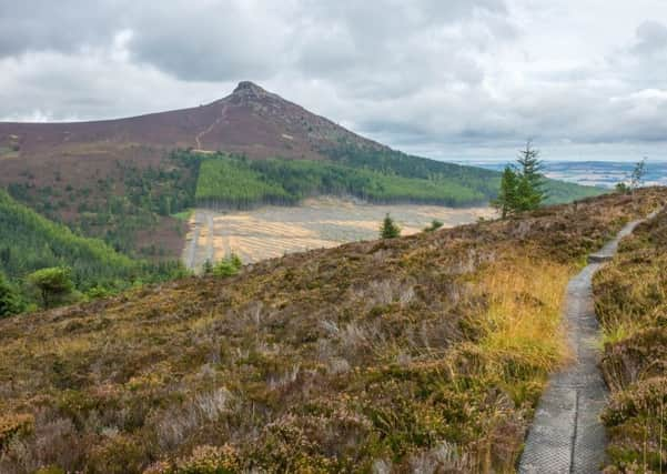 Mither Tap, Bennachie, Aberdeenshire