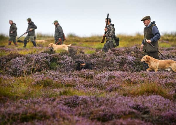 Sporting businesses claim crimes against birds of prey are at a record low. Picture: Getty