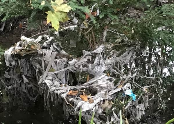 Sewage on Mary Burn, off the River South Esk.