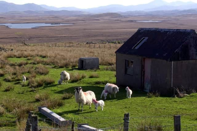 The report Brexit described as the straw that breaks rural Scotlands back. Picture: Allan Milligan