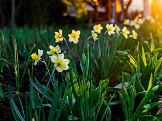 Easter will be shortly upon us, but with the bank holiday weekend just around the corner what is the weather set to be like in Scotland?