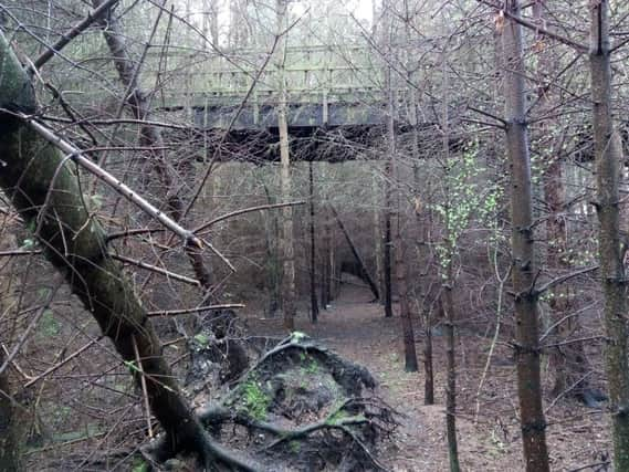 Trees covering a stretch of the line south of St Boswells. Picture: The Scotsman