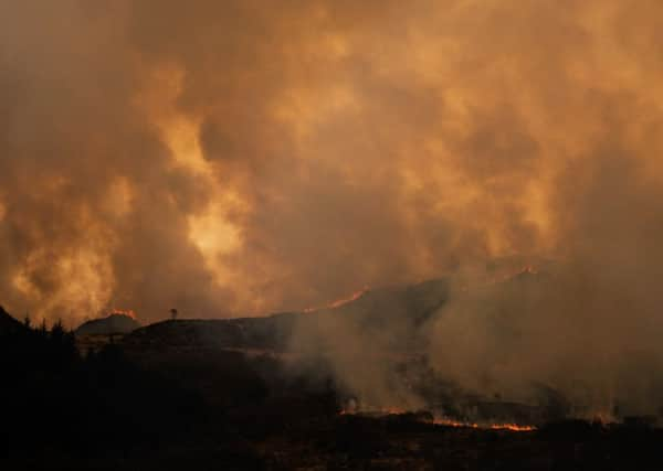 Wildfires on the north end of Bute. Photo by Ted Leeming, Leeming + Paterson Photography.