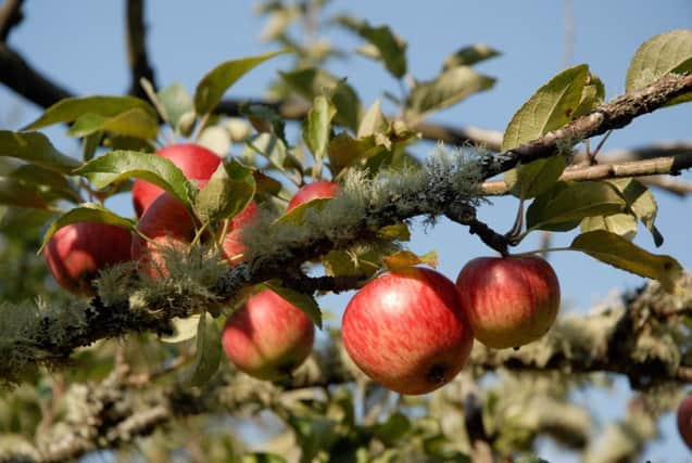 Fruit juice may increase cancer risk.