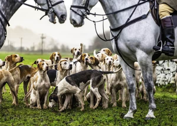 A Fox hunt. Picture: Getty