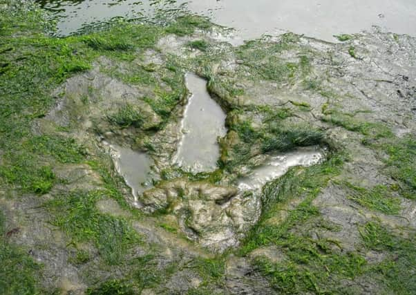 Jurassic sites on Skye have been granted a Nature Conservation Order to protect them for future generations. PRESS ASSOCIATION Photo