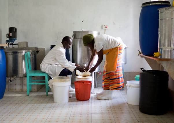 Honey is refined at a production hub in Embu County, Kenya. Photograph: Christian Aid