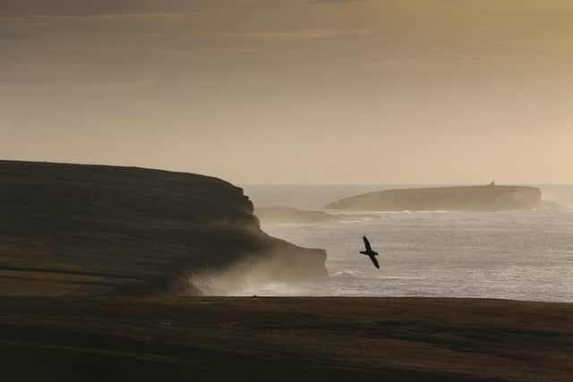 The incident happened off the Orkney coast