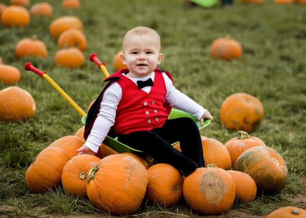 Halloween pumpkins are a major source of unnecessary food waste (Picture: Liam McBurney/PA Wire)