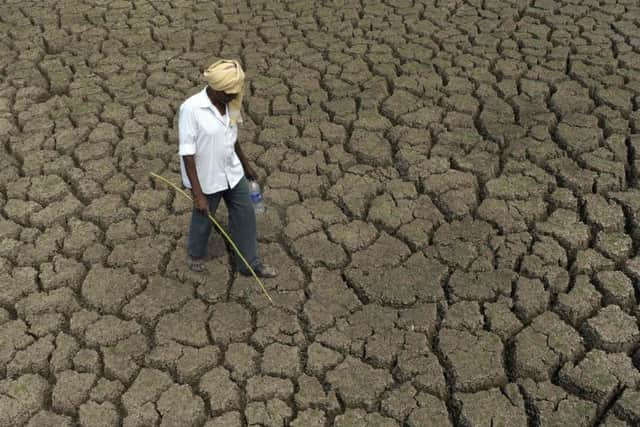 A shepherd walks on the bed of the dried up Osman Sagar Lake on the outskirts of Hyderabad (Picture: Noah Seelam/AFP via Getty Images)