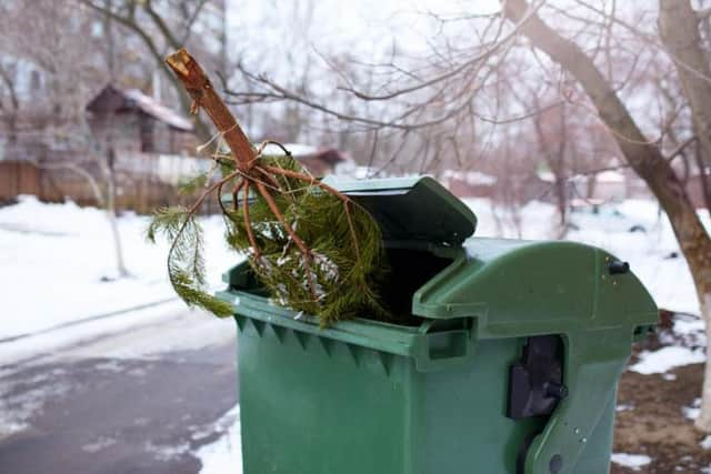 The council's website also contains advice on getting rid of your Christmas tree. Picture: Shutterstock