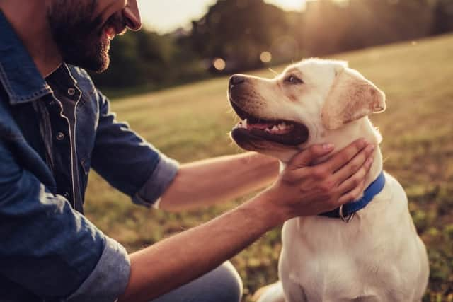 British people spend more than £1.3 billion a year on their dogs (Photo: Shutterstock)